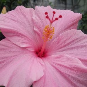 Meet your Posher, Joanne